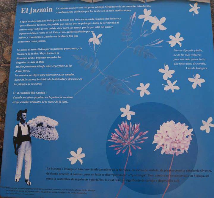 RESSOURCES/Le jasmin, une histoire d